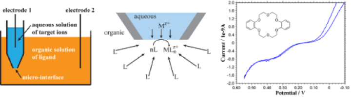 Ion transfer at liquid/liquid interfaces
